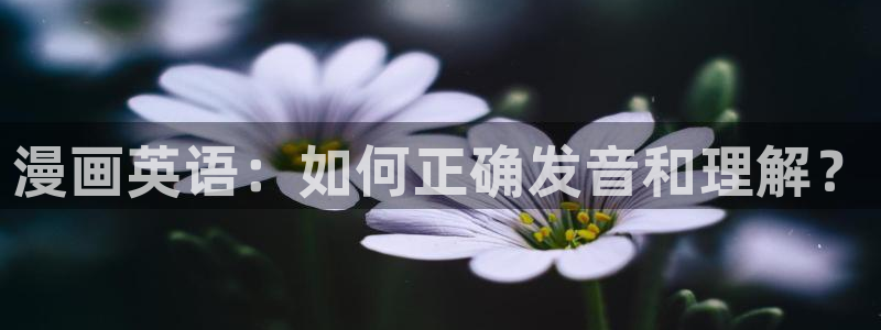 香香漫画网站