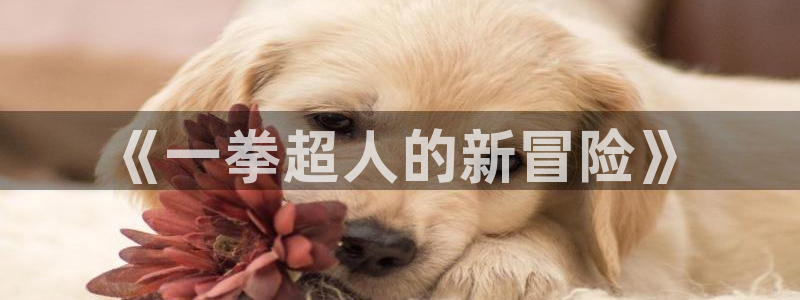 香香漫画官网网址